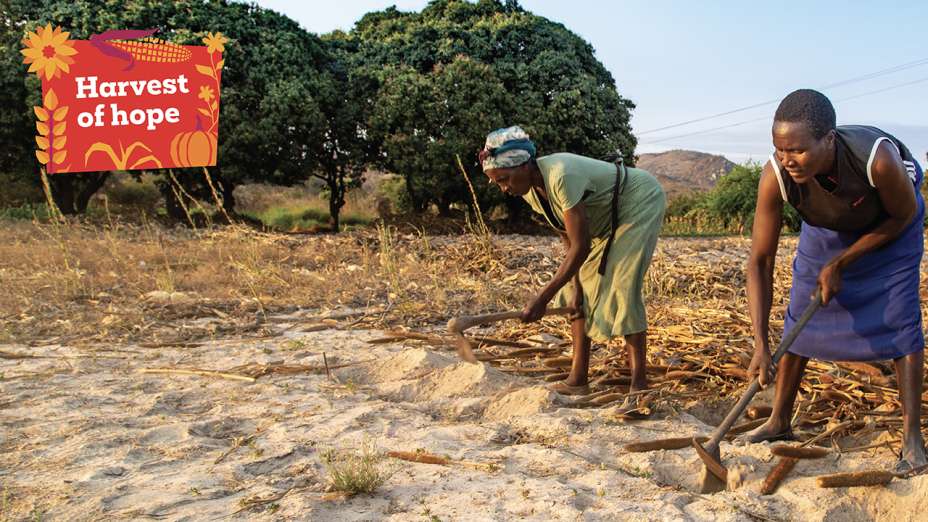 Janet Zirugo and her daughter Nyarai Zirugo are preparing land at their farm located just close to their home in Mashonaland East Province of Zimbabwe.
