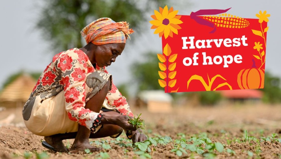 Anok farming. text says: "Harvest of Hope"