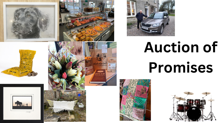 auction-of-promises-3.png