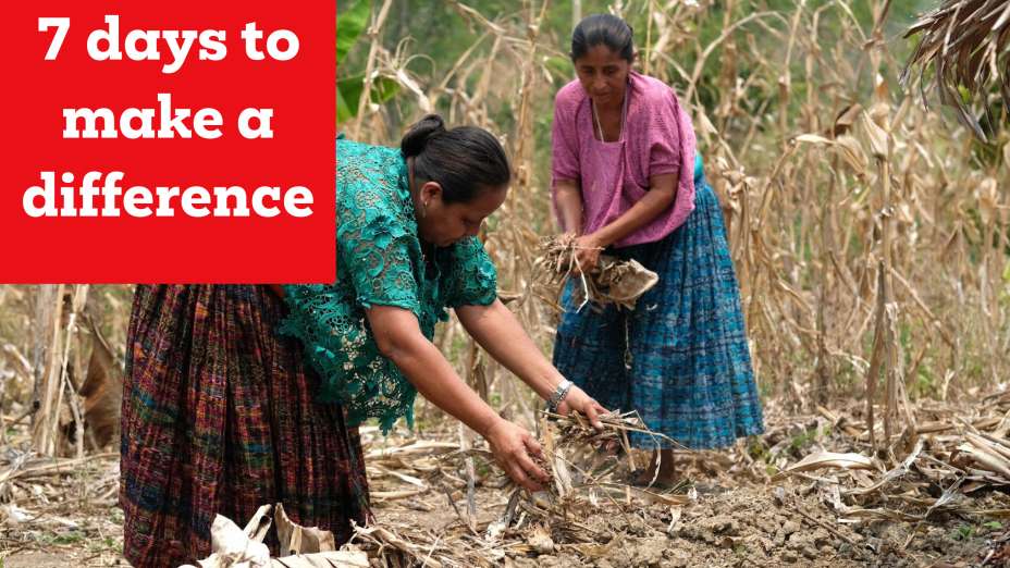 christian-aid.jpg