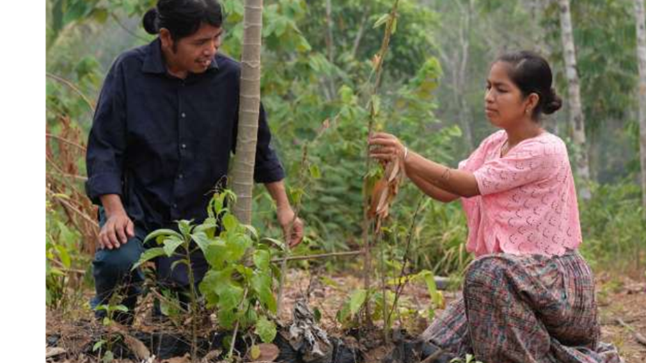 rainforest-farming_0.png