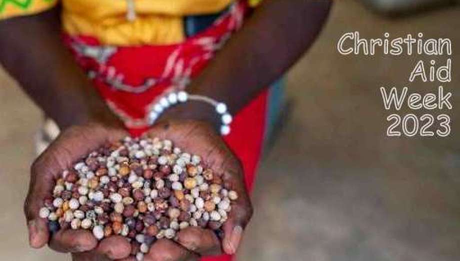 rs7593_-caw23-pigeon-peas.v4.jpg