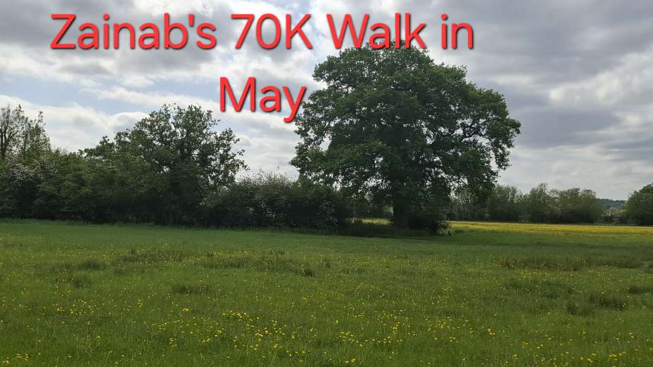 zees-walk-in-may.jpg