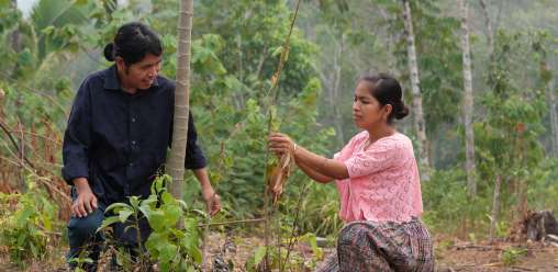 Amelia and Congcoop partner staff member Donaldo. Amelia shows him her plant nursery which is suffering due to the heat wave.