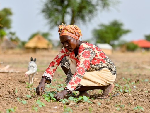 Anok Angok Kon lives in Aguat Boma, South Sudan. Regular floods damage her farmland, threatening her  livelihood and her family’s access to food