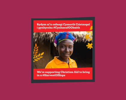 Harvest 2025 UK image 1 - Bilingual thumbnail