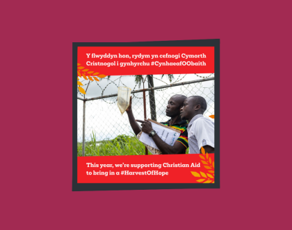 Harvest 2025 UK image 2 - Bilingual thumbnail