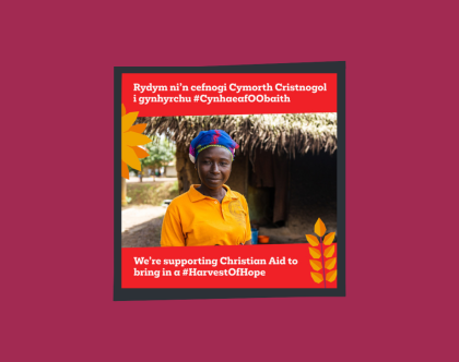 Harvest 2025 UK image 3 - Bilingual thumbnail