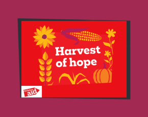 Harvest slides thumbnail