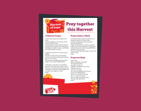 Harvest 25 prayer pack Thumbnail