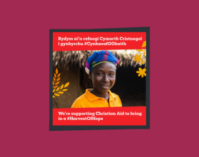 Harvest 2025 UK image 1 - Bilingual thumbnail