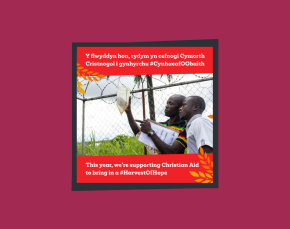 Harvest 2025 UK image 2 - Bilingual thumbnail