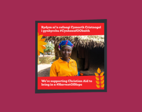 Harvest 2025 UK image 3 - Bilingual thumbnail