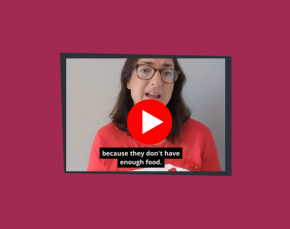 Harvest Appeal video update